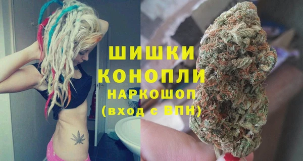 PSILOCYBIN Верхний Тагил